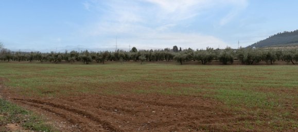 9337m² Land in Albolote, Spain No. 170030 28