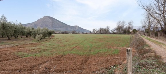 9337m² Land in Albolote, Spain No. 170030 63