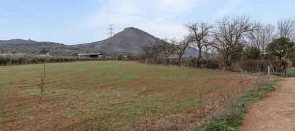 9337m² Land in Albolote, Spain No. 170030 12