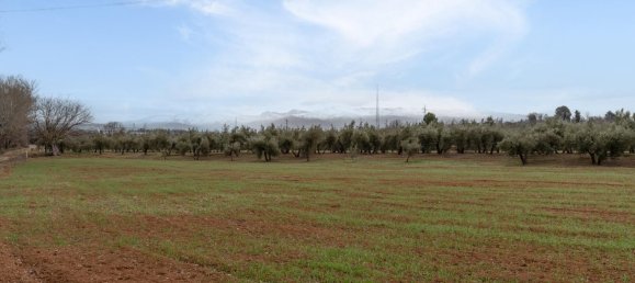 9337m² Land in Albolote, Spain No. 170030 34