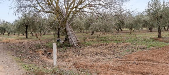 9337m² Land in Albolote, Spain No. 170030 59