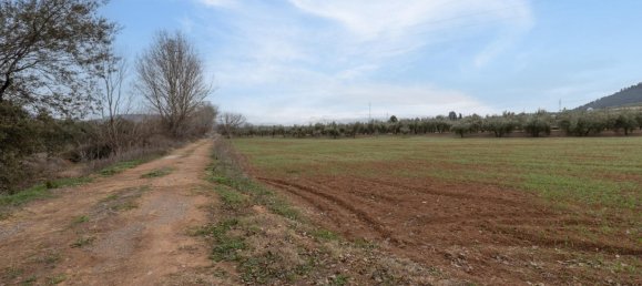 9337m² Land in Albolote, Spain No. 170030 26