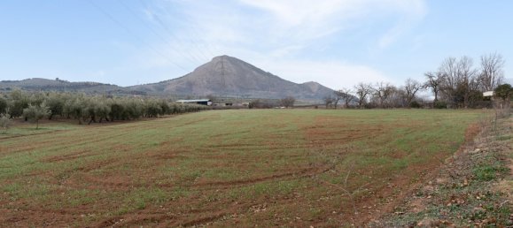 9337m² Land in Albolote, Spain No. 170030 55