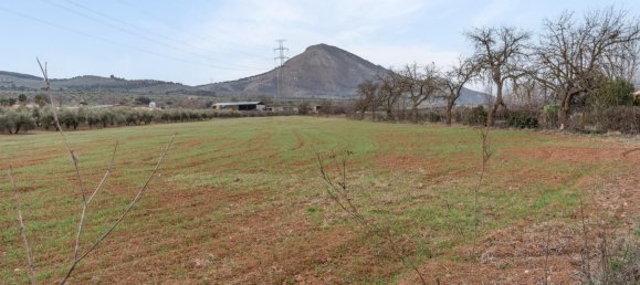 9337m² Land in Albolote, Spain No. 170030 5