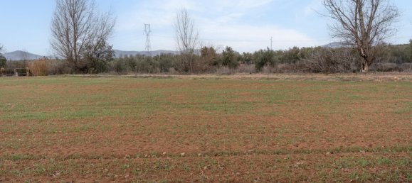 9337m² Land in Albolote, Spain No. 170030 2