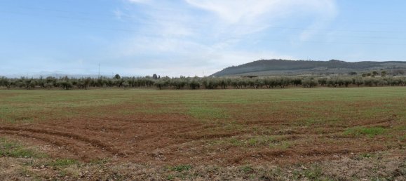 9337m² Land in Albolote, Spain No. 170030 25