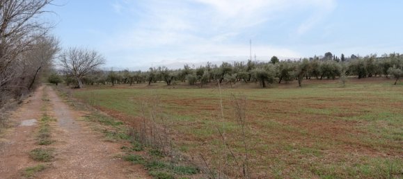 9337m² Land in Albolote, Spain No. 170030 11