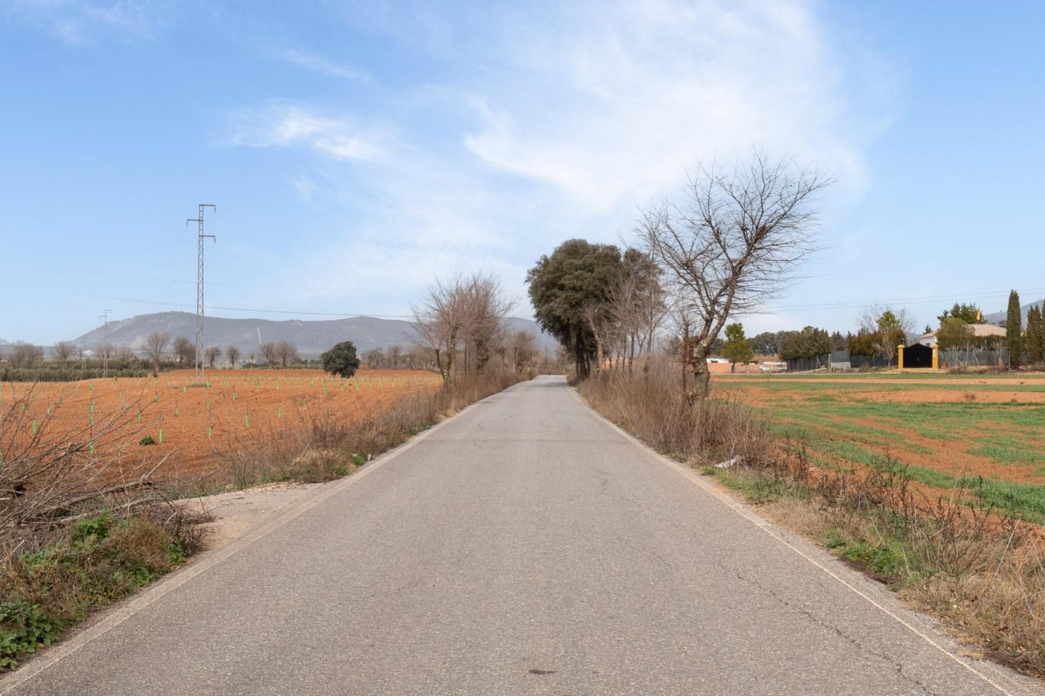9337m² Land in Albolote, Spain No. 170030