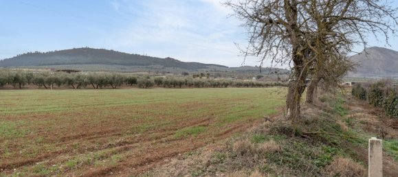 9337m² Land in Albolote, Spain No. 170030 23