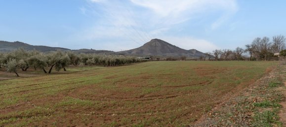 9337m² Land in Albolote, Spain No. 170030 39
