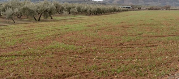 9337m² Land in Albolote, Spain No. 170030 42