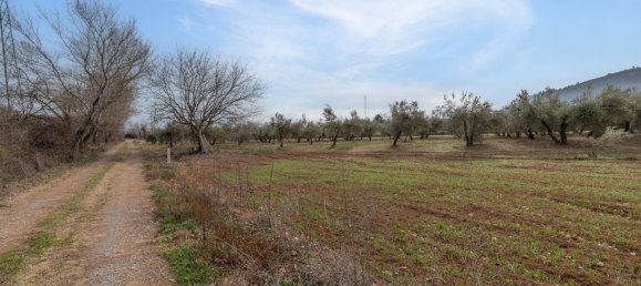9337m² Land in Albolote, Spain No. 170030 69
