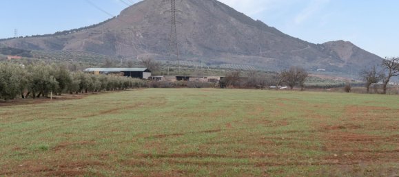 9337m² Land in Albolote, Spain No. 170030 56
