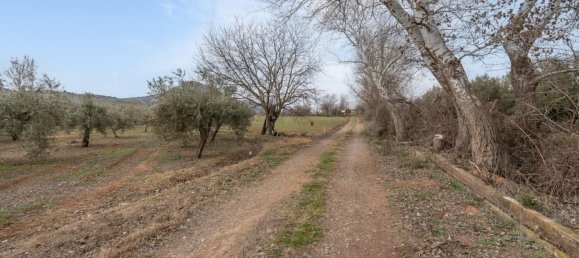 9337m² Land in Albolote, Spain No. 170030 48