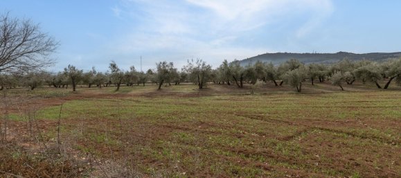9337m² Land in Albolote, Spain No. 170030 37