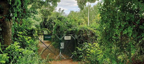  Land in Wetteraukreis, Germany No. 226882 5