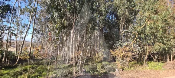  قطعة أرض في Agueda, Portugal رقم 93223 6