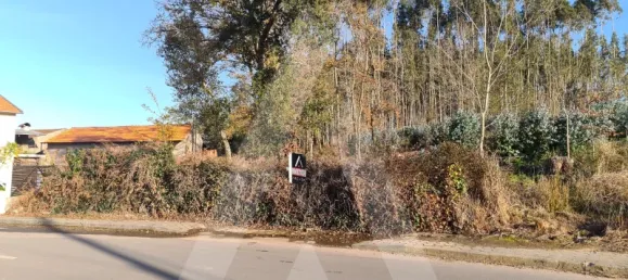  قطعة أرض في Agueda, Portugal رقم 93223 4