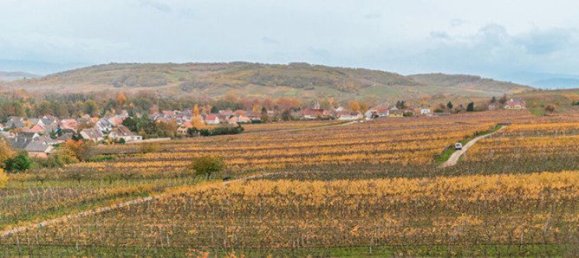 3 Schlafzimmer Doppelhaus in Ergersheim, France, Nr. 67957 5