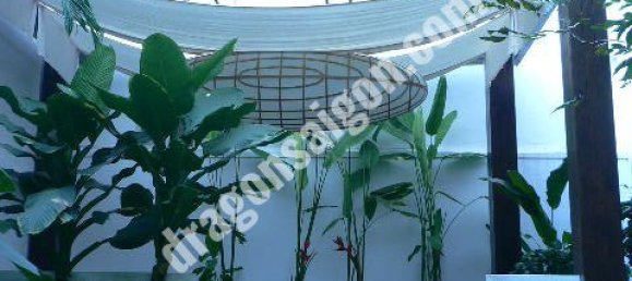 Wohnung in District 1, Vietnam 60m², Nr. 10993 5