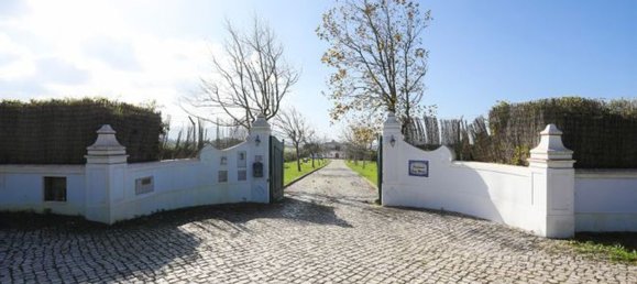 8 bedrooms House in Sintra, Portugal No. 168488 28