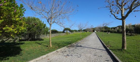 8 bedrooms House in Sintra, Portugal No. 168488 22