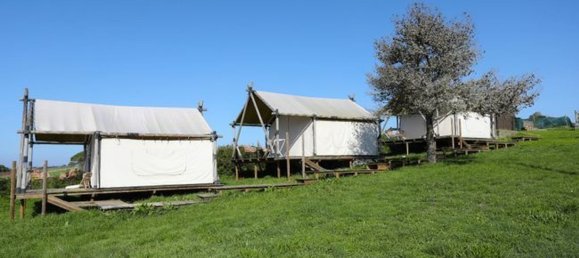 8 bedrooms House in Sintra, Portugal No. 168488 10