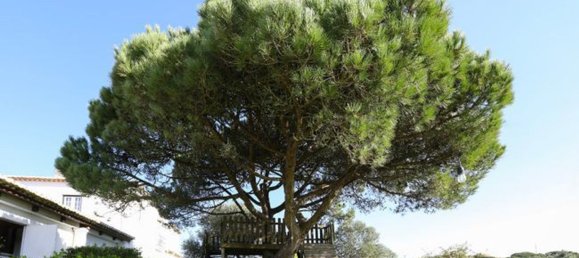 8 bedrooms House in Sintra, Portugal No. 168488 18