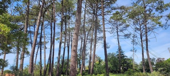 850m² Land in Sesimbra, Portugal No. 54013 13