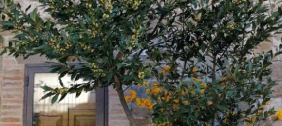 Вилла с 4 спальнями в Ассизи, Италия № 266041 15