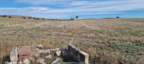 Terrain à Matera, Italy 30000m² No. 277917 6