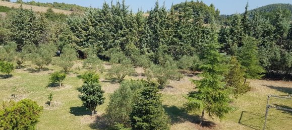 5 bedrooms Commercial property in Chalkidiki, Greece No. 8173 29