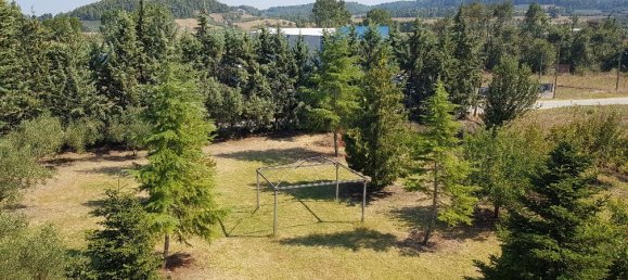 5 bedrooms Commercial property in Chalkidiki, Greece No. 8173 30