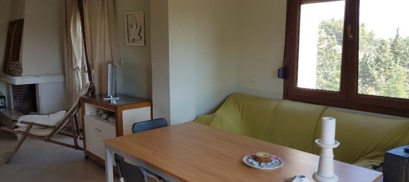 5 bedrooms Commercial property in Chalkidiki, Greece No. 8173 10