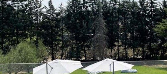 5 bedrooms Commercial property in Chalkidiki, Greece No. 8173 26