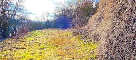 Terrain à Hersfeld-Rotenburg, Germany No. 159645 2