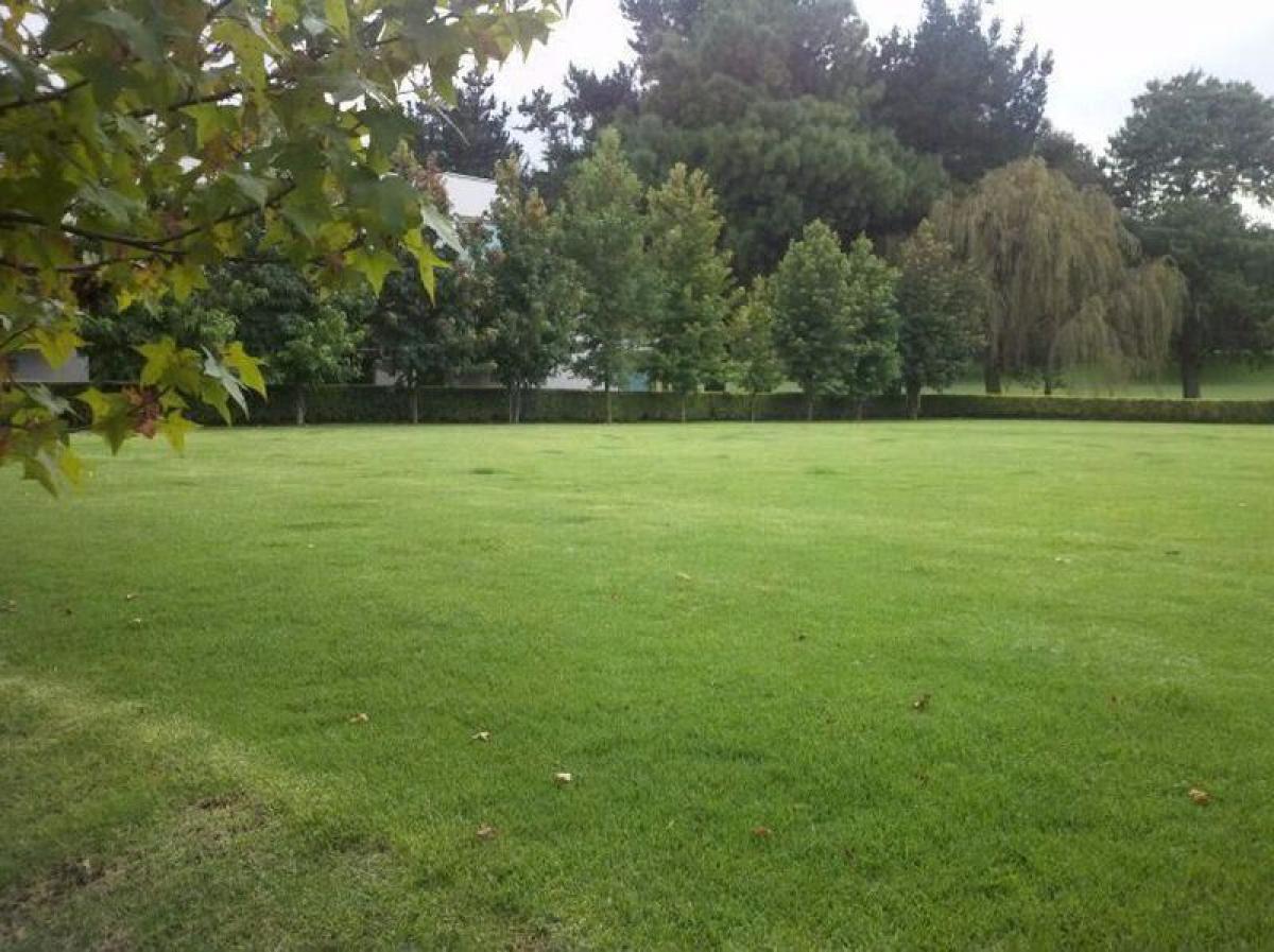  قطعة أرض في Lerma, Mexico رقم 206477