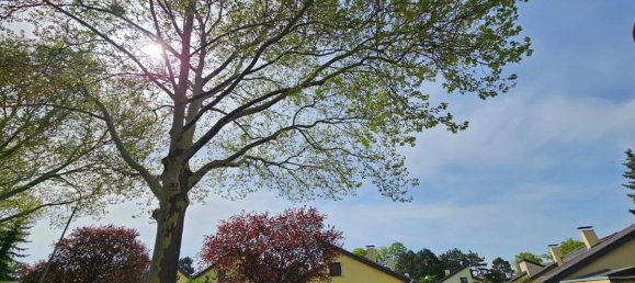 4 rooms Townhouse in Vienna, Austria No. 174875 4