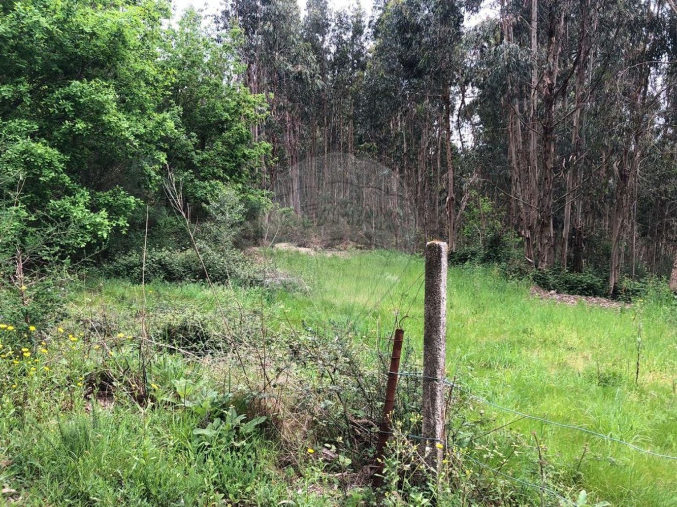 776m² Land in Lousada, Portugal No. 37873