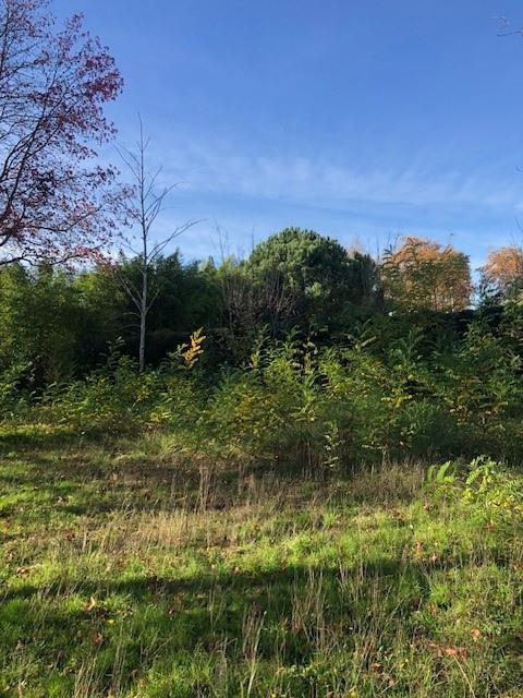 570m² Land in Bordeaux, France No. 302019