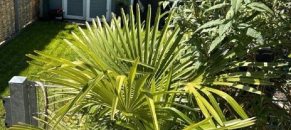 Moradia em banda T3 em Rhein-Pfalz, Germany N.º 264209 4