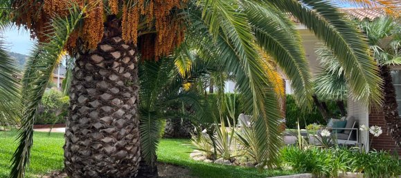 Casa T7 em Benidorm, Spain N.º 54677 39