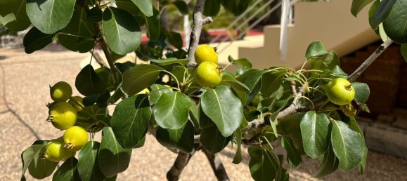 Casa T7 em Benidorm, Spain N.º 54677 35