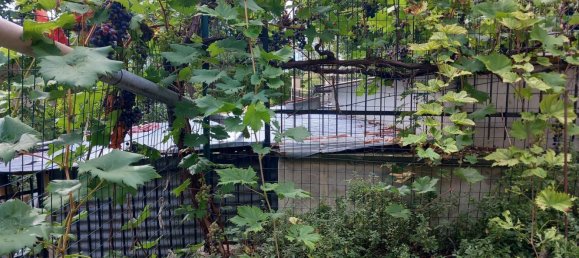 Дом с 2 спальнями в Пеннапьедимонте, Италия № 318588 12