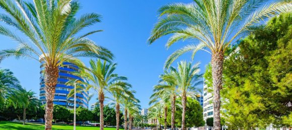 2 Schlafzimmer Wohnung in Alicante, Spain, Nr. 150938 20