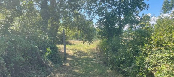 Terreno en Villanova d'Albenga, Italy No. 356916 11