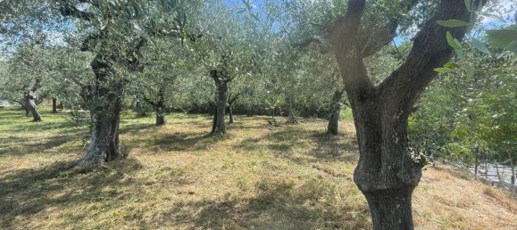 Terreno en Villanova d'Albenga, Italy No. 356916 3