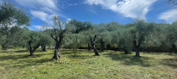 Terreno en Villanova d'Albenga, Italy No. 356916 4