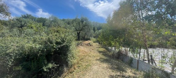 Terreno en Villanova d'Albenga, Italy No. 356916 6