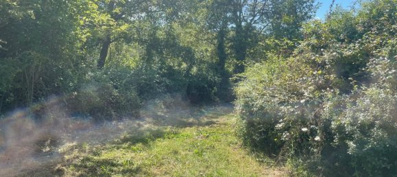 Terreno en Villanova d'Albenga, Italy No. 356916 9